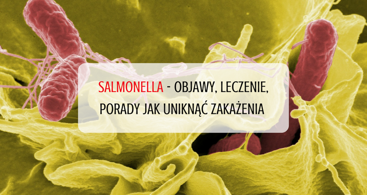 Salmonella - objawy, leczenie, porady jak uniknąć zakażenia 